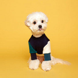 [FLOT] Block Sweatshirt, Navy Ivory, Dog Clothes _ Dog Shirts, Pet T-Shirts _ Made in KOREA