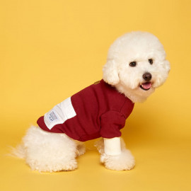 [FLOT] Anorak Sweatshirt, Burgundy Ivory, Dog Clothes _ Dog Shirts, Pet T-Shirts _ Made in KOREA