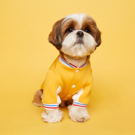 [FLOT] Stadium Jumper, Yellow, Dog Clothes _ Dog Shirts, Pet T-Shirts _ Made in KOREA