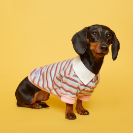 [FLOT] Striped Rugby Shirt, Yellow Pale Pink Sky, Dog Clothes _ Dog Shirts, Pet T-Shirts _ Made in KOREA