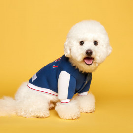 [FLOT] Stadium Jumper, Blue White, Dog Outerwear _ Dog Shirts, Pet T-Shirts _ Made in KOREA